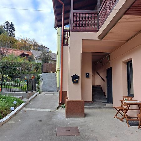 Cosy Studio In The Heart Of براشوف المظهر الخارجي الصورة